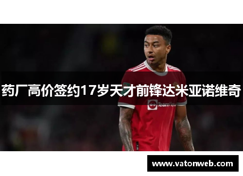 药厂高价签约17岁天才前锋达米亚诺维奇